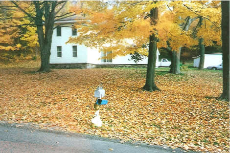 Original Homestead