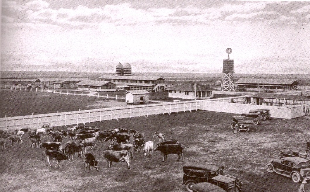 Curtiss Dairy Farm
